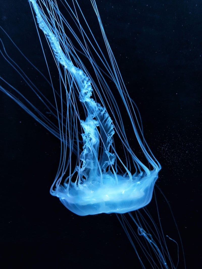 Underwater lighting